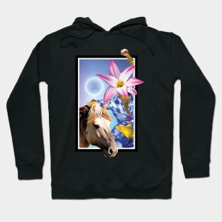 Galaxy girl and horse Hoodie